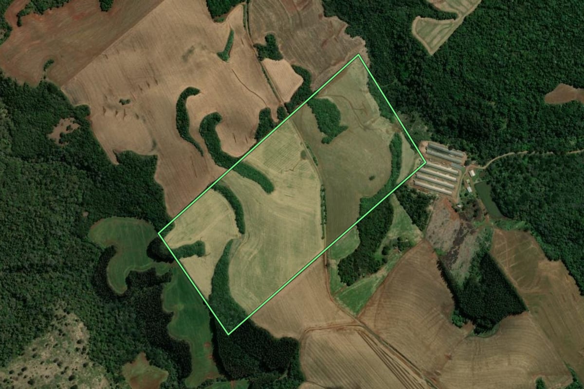 Imagem de satélite do imóvel rural em Vitorino (PR), com o contorno declarado no CAR desenhado por cima.