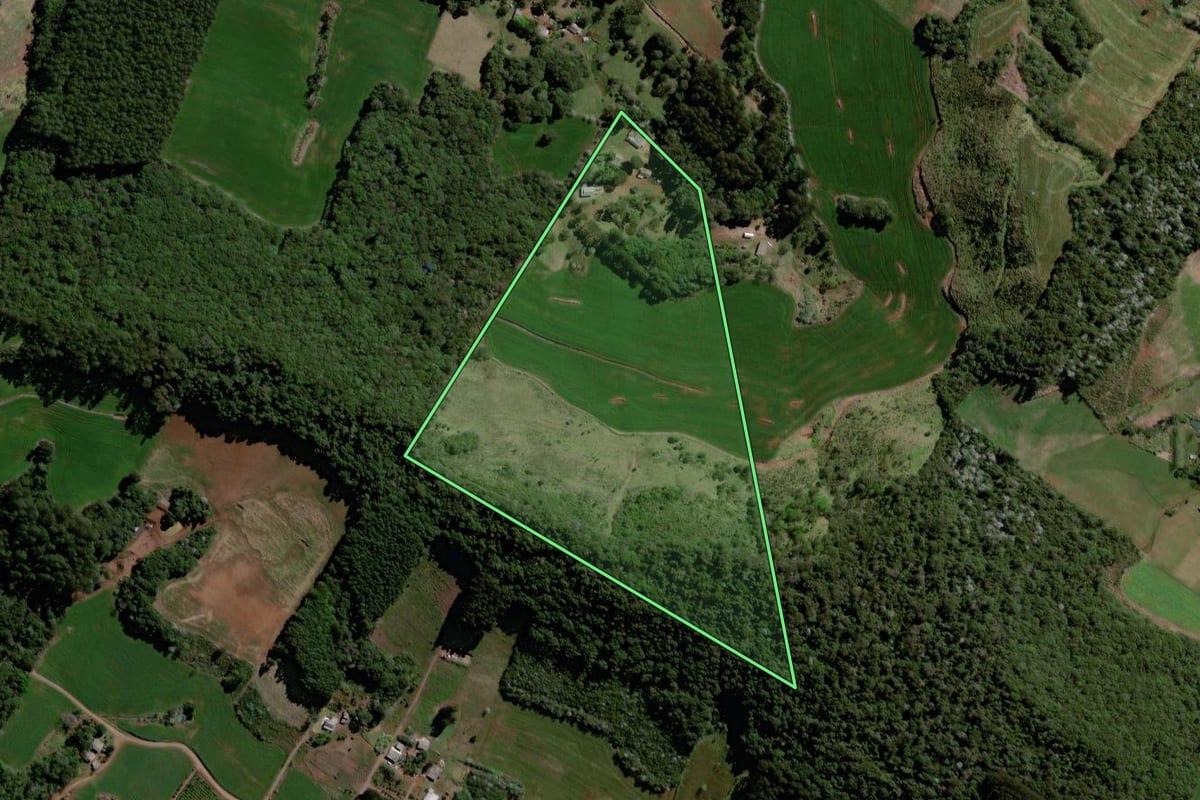 Imagem de satélite do imóvel rural em Vitorino (PR), com o contorno declarado no CAR desenhado por cima.