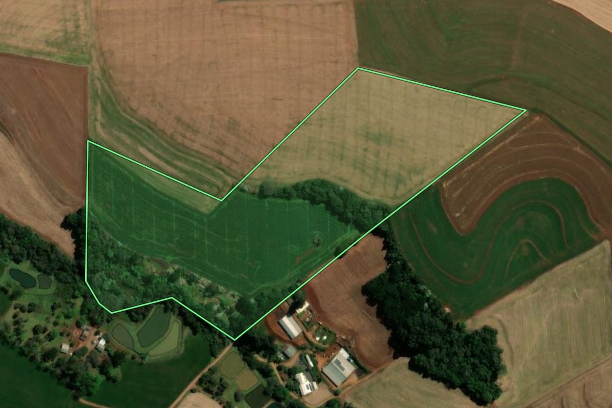 Imagem de satélite do imóvel rural em Vitorino (PR), com o contorno declarado no CAR desenhado por cima.