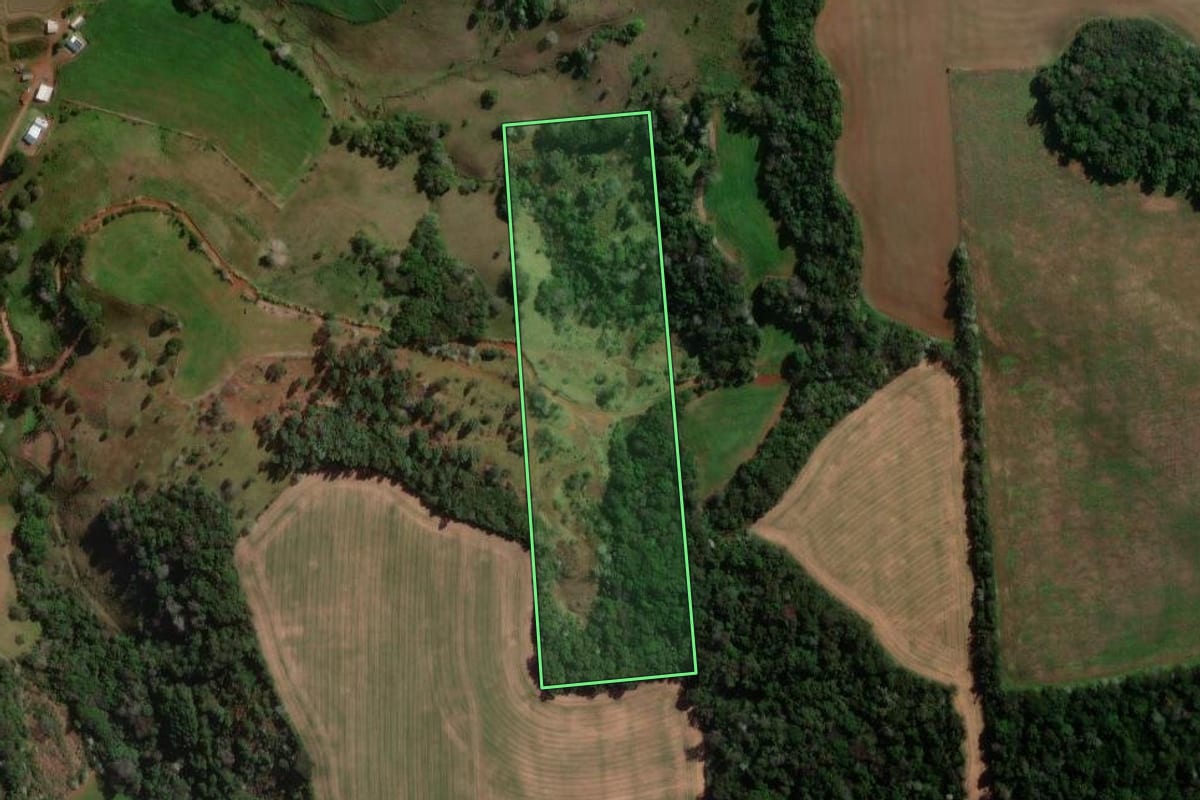 Imagem de satélite do imóvel rural em Vitorino (PR), com o contorno declarado no CAR desenhado por cima.