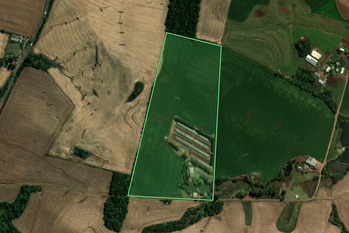 Imagem de satélite do imóvel rural em Vitorino (PR), com o contorno declarado no CAR desenhado por cima.