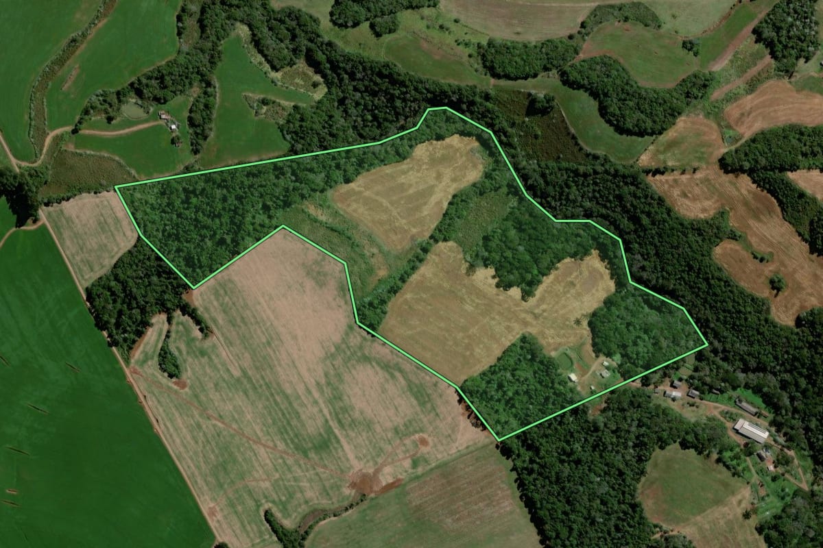 Imagem de satélite do imóvel rural em Vitorino (PR), com o contorno declarado no CAR desenhado por cima.