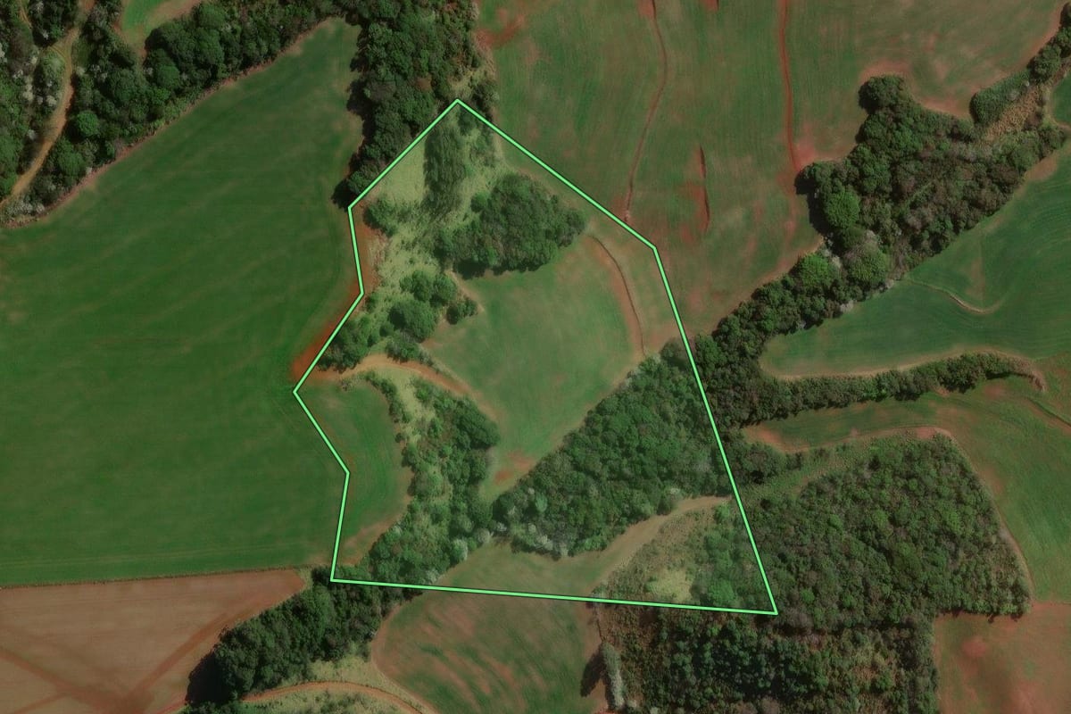 Imagem de satélite do imóvel rural em Vitorino (PR), com o contorno declarado no CAR desenhado por cima.
