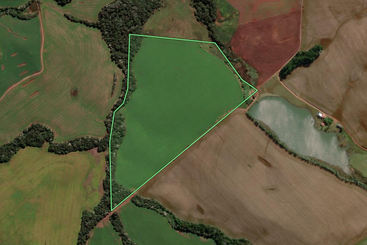 Imagem de satélite do imóvel rural em Vitorino (PR), com o contorno declarado no CAR desenhado por cima.