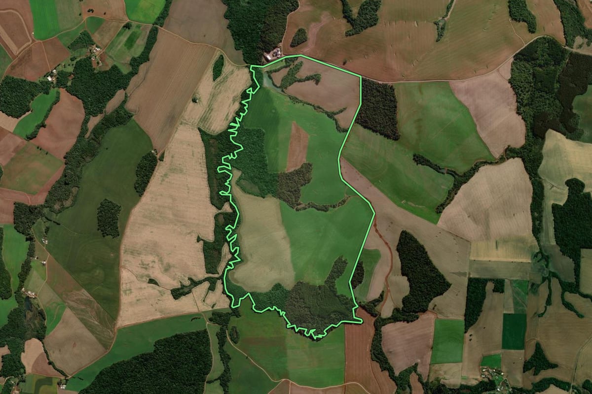 Imagem de satélite do imóvel rural em Vitorino (PR), com o contorno declarado no CAR desenhado por cima.