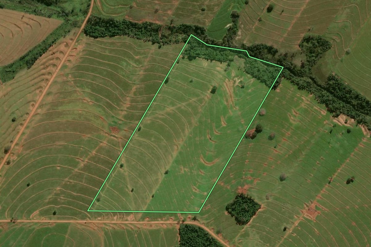 Imagem de satélite do imóvel rural em Xambrê (PR), com o contorno declarado no CAR desenhado por cima.