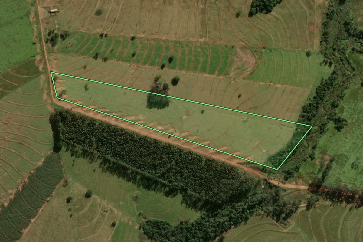 Imagem de satélite do imóvel rural em Xambrê (PR), com o contorno declarado no CAR desenhado por cima.