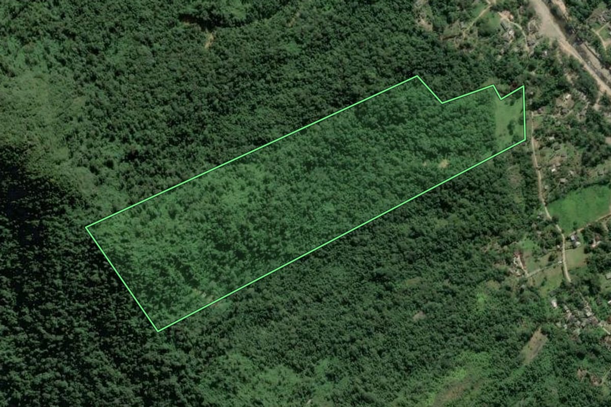 Imagem de satélite do imóvel rural em Angra dos Reis (RJ), com o contorno declarado no CAR desenhado por cima.
