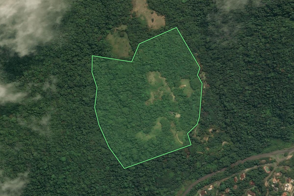 Imagem de satélite do imóvel rural em Angra dos Reis (RJ), com o contorno declarado no CAR desenhado por cima.