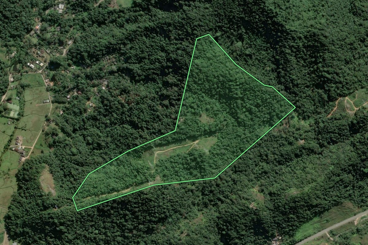 Imagem de satélite do imóvel rural em Angra dos Reis (RJ), com o contorno declarado no CAR desenhado por cima.