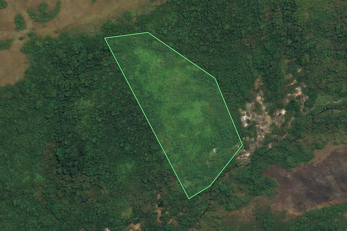 Imagem de satélite do imóvel rural em Angra dos Reis (RJ), com o contorno declarado no CAR desenhado por cima.