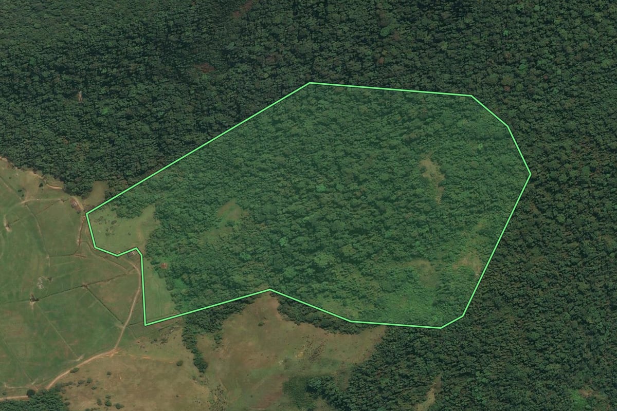Imagem de satélite do imóvel rural em Angra dos Reis (RJ), com o contorno declarado no CAR desenhado por cima.