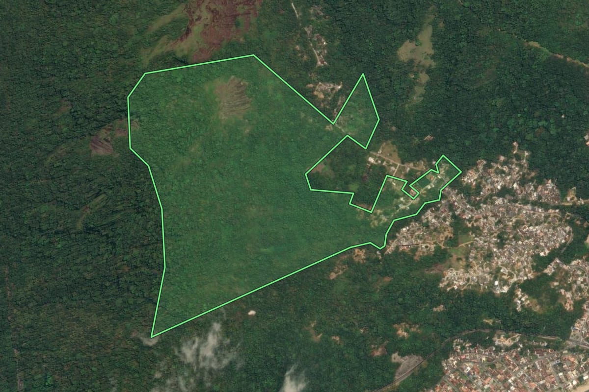 Imagem de satélite do imóvel rural em Angra dos Reis (RJ), com o contorno declarado no CAR desenhado por cima.