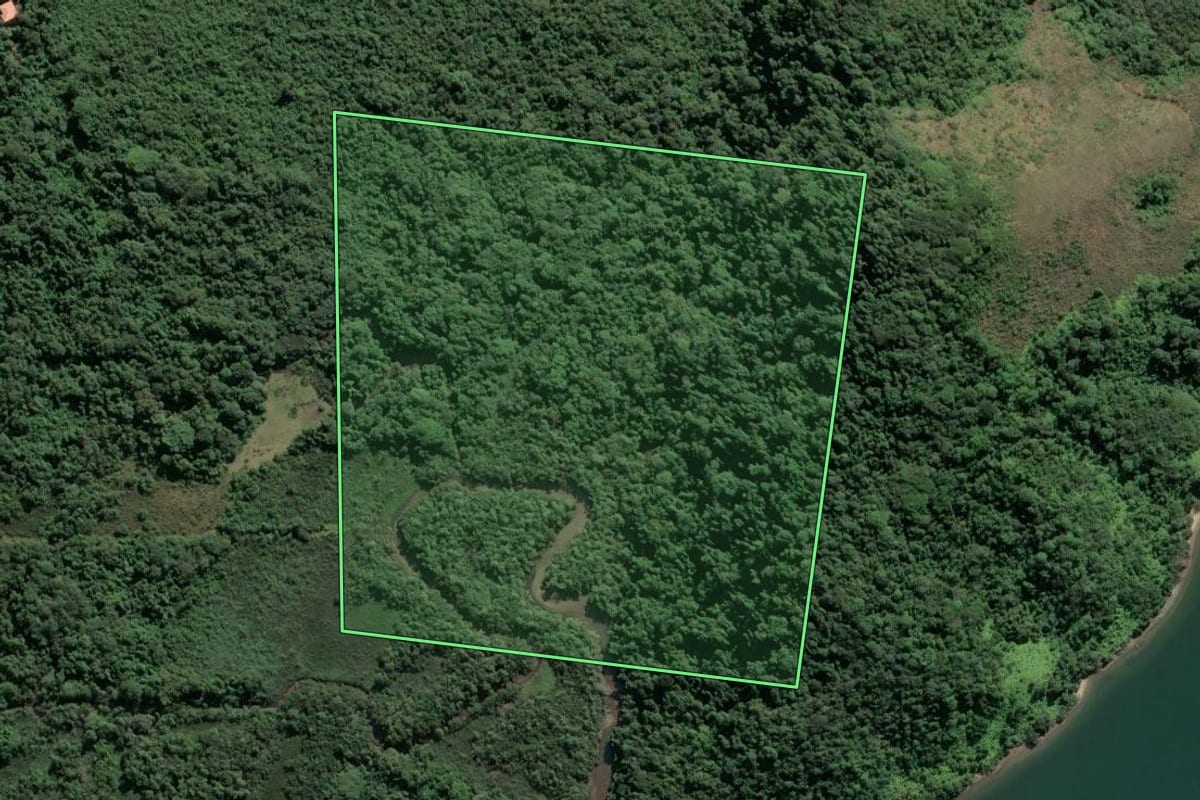Imagem de satélite do imóvel rural em Angra dos Reis (RJ), com o contorno declarado no CAR desenhado por cima.