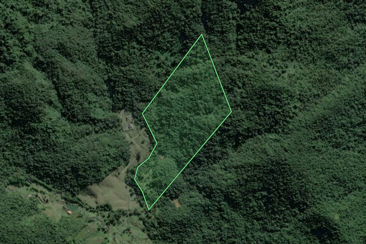 Imagem de satélite do imóvel rural em Angra dos Reis (RJ), com o contorno declarado no CAR desenhado por cima.