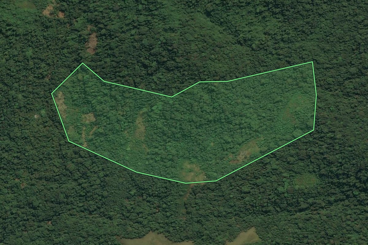 Imagem de satélite do imóvel rural em Angra dos Reis (RJ), com o contorno declarado no CAR desenhado por cima.