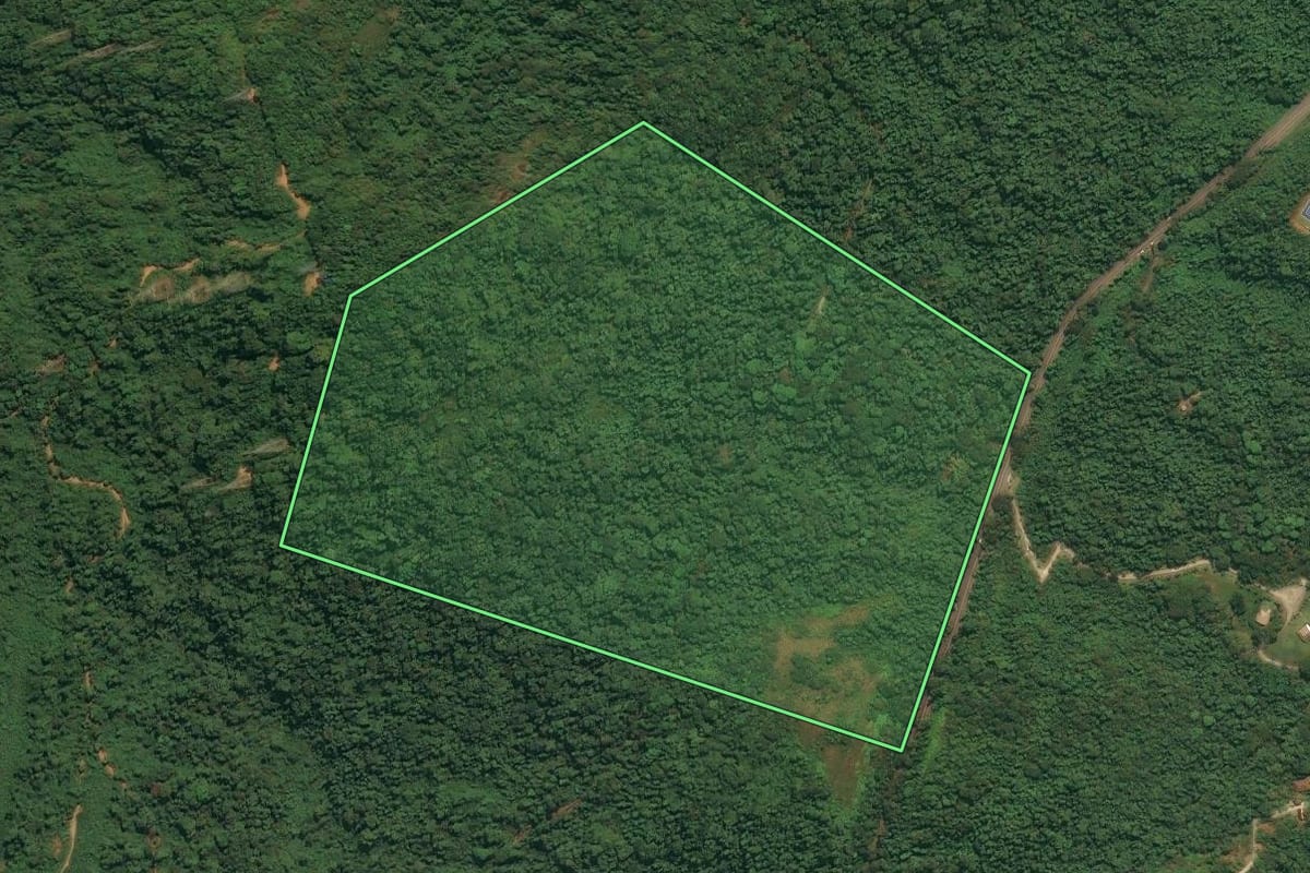 Imagem de satélite do imóvel rural em Angra dos Reis (RJ), com o contorno declarado no CAR desenhado por cima.