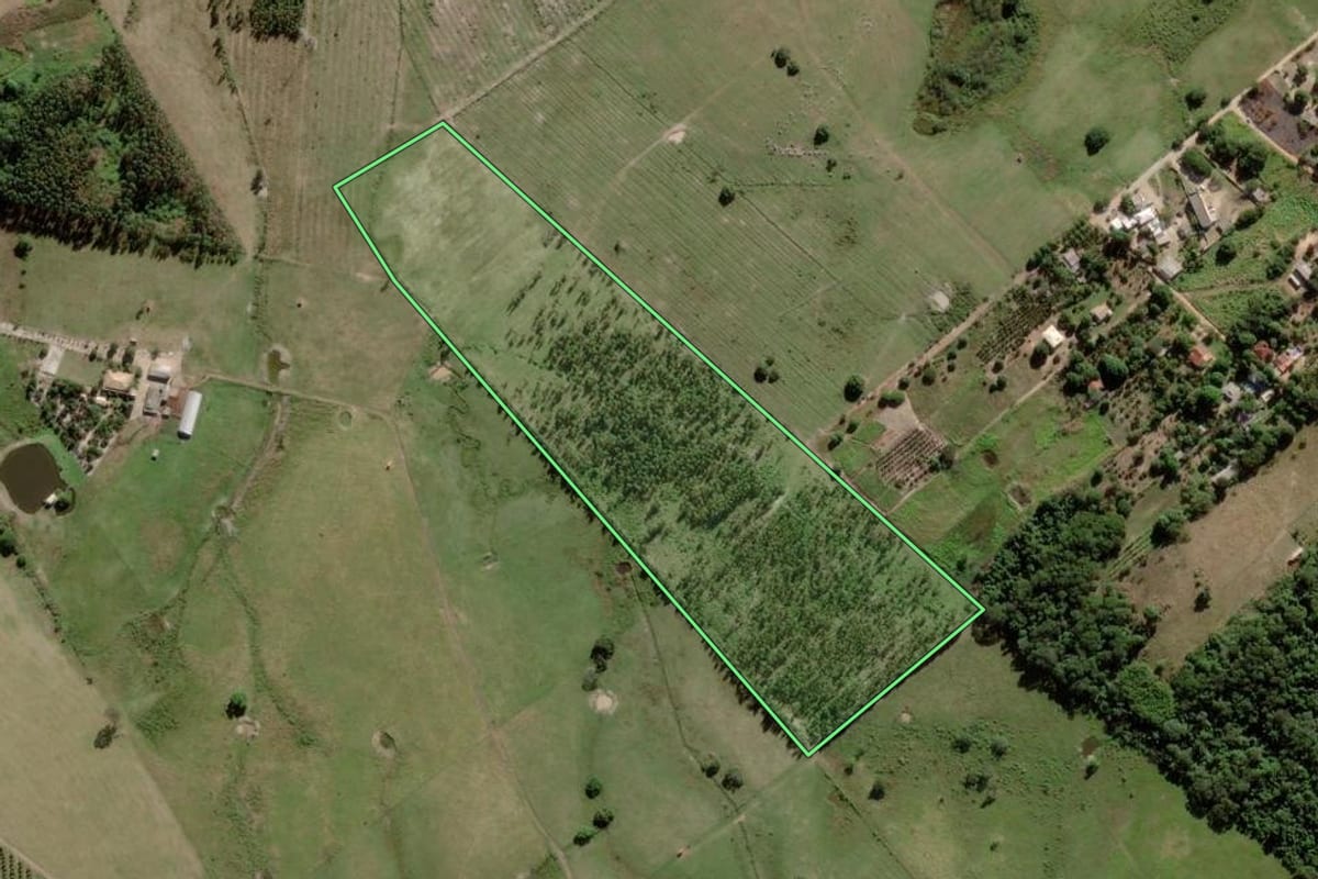 Imagem de satélite do imóvel rural em Araruama (RJ), com o contorno declarado no CAR desenhado por cima.