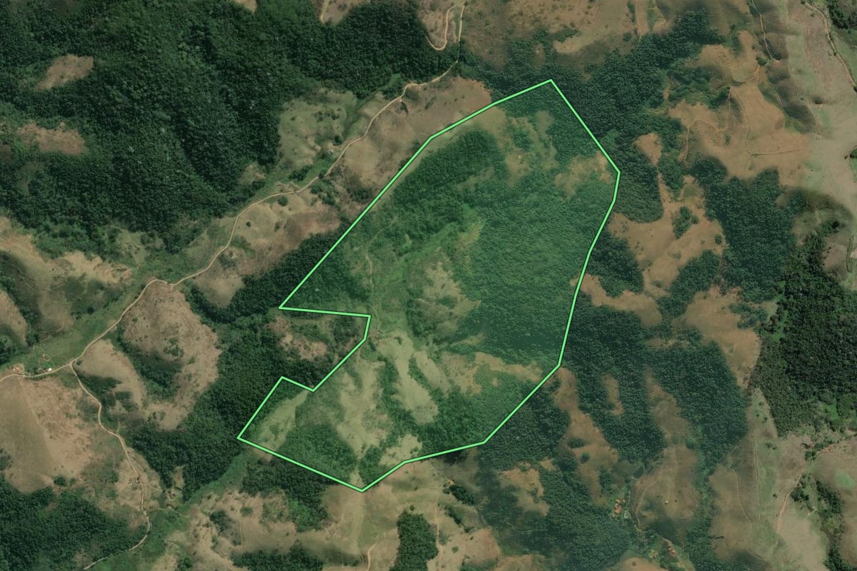 Imagem de satélite do imóvel rural em Barra do Piraí (RJ), com o contorno declarado no CAR desenhado por cima.