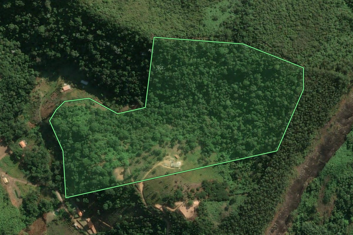 Imagem de satélite do imóvel rural em Bom Jardim (RJ), com o contorno declarado no CAR desenhado por cima.