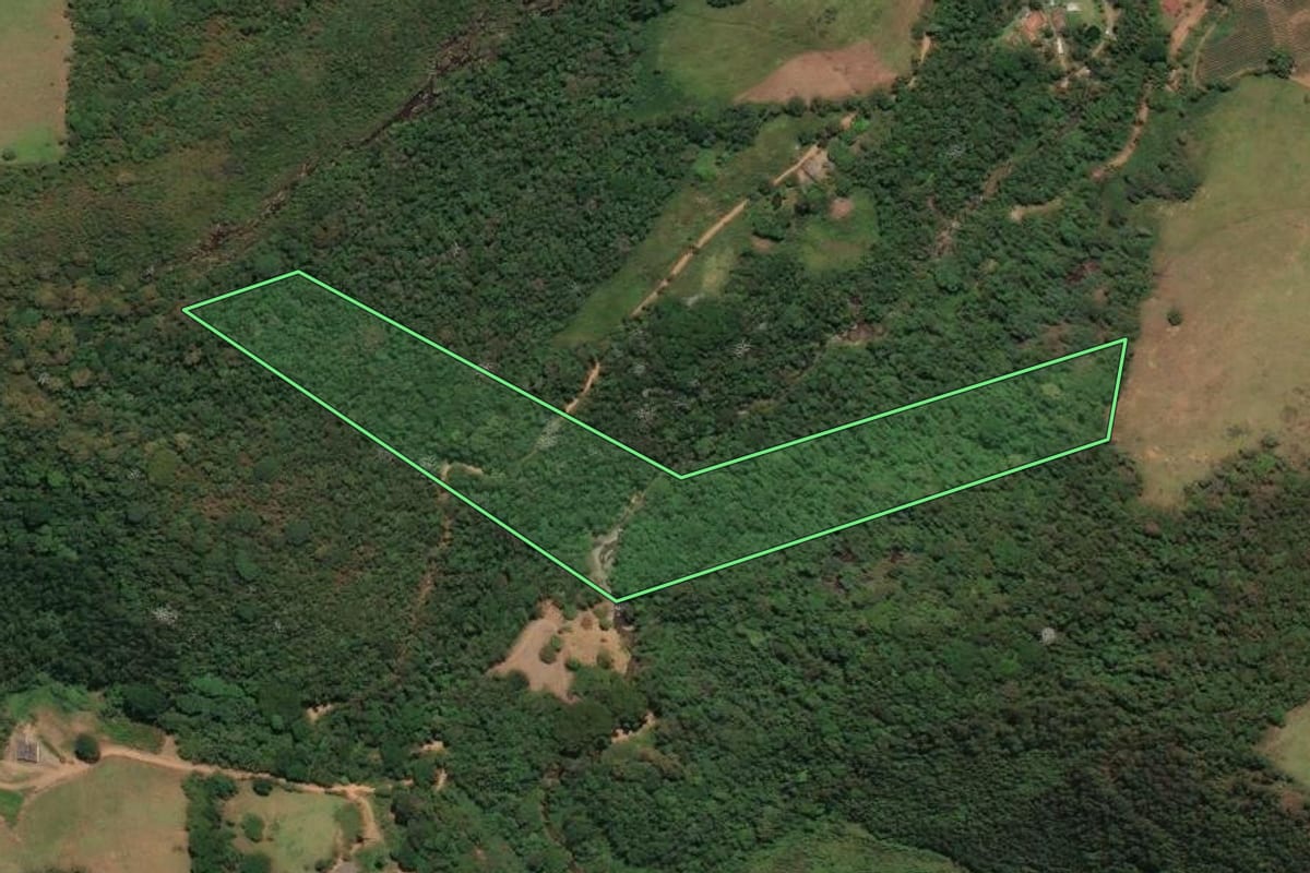 Imagem de satélite do imóvel rural em Bom Jardim (RJ), com o contorno declarado no CAR desenhado por cima.