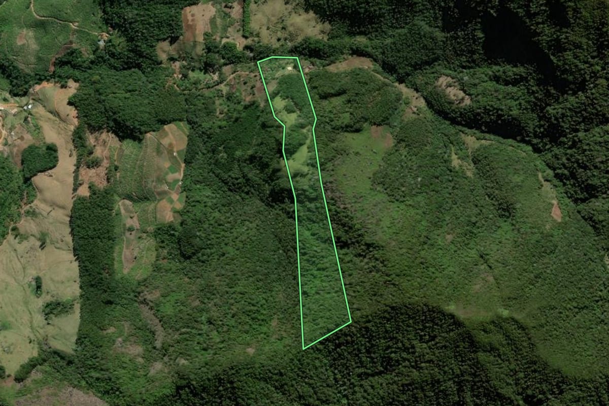 Imagem de satélite do imóvel rural em Bom Jardim (RJ), com o contorno declarado no CAR desenhado por cima.