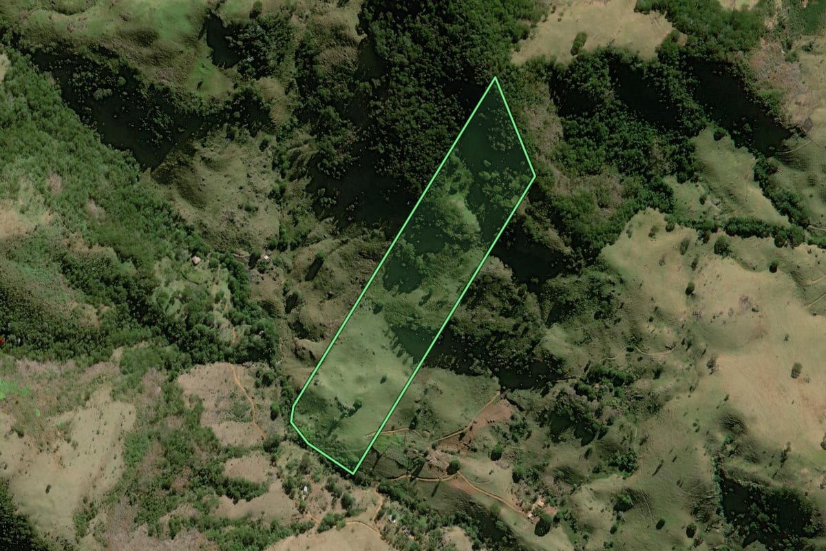 Imagem de satélite do imóvel rural em Bom Jesus do Itabapoana (RJ), com o contorno declarado no CAR desenhado por cima.