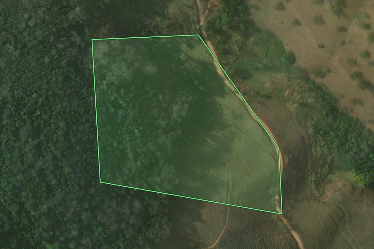 Imagem de satélite do imóvel rural em Bom Jesus do Itabapoana (RJ), com o contorno declarado no CAR desenhado por cima.