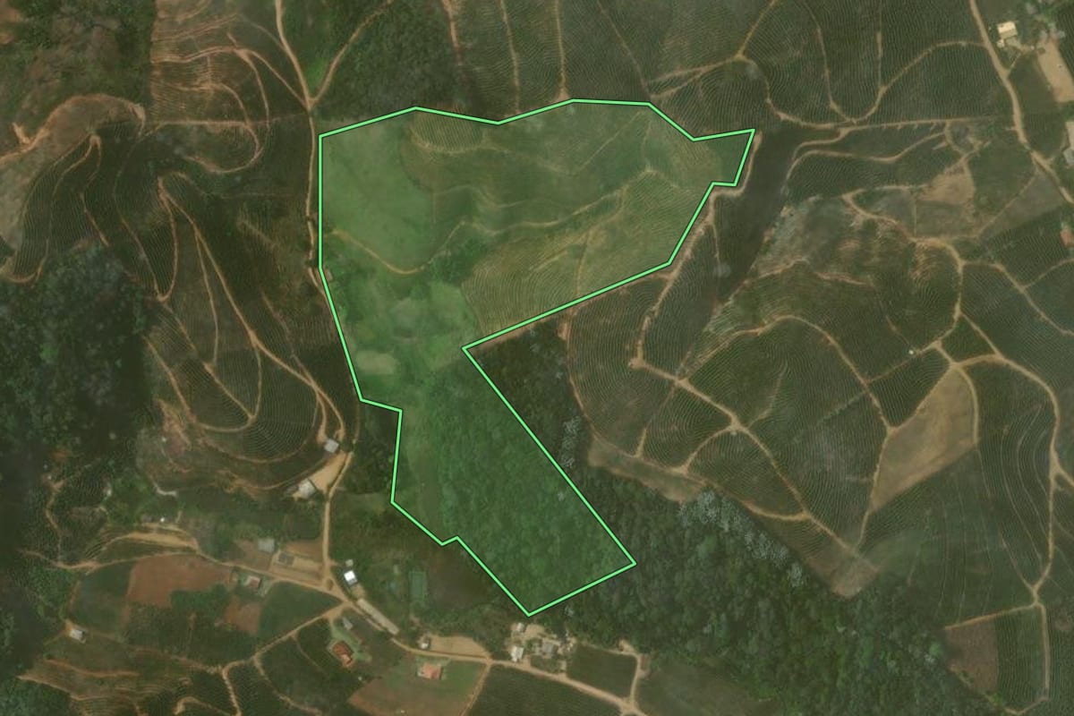 Imagem de satélite do imóvel rural em Bom Jesus do Itabapoana (RJ), com o contorno declarado no CAR desenhado por cima.