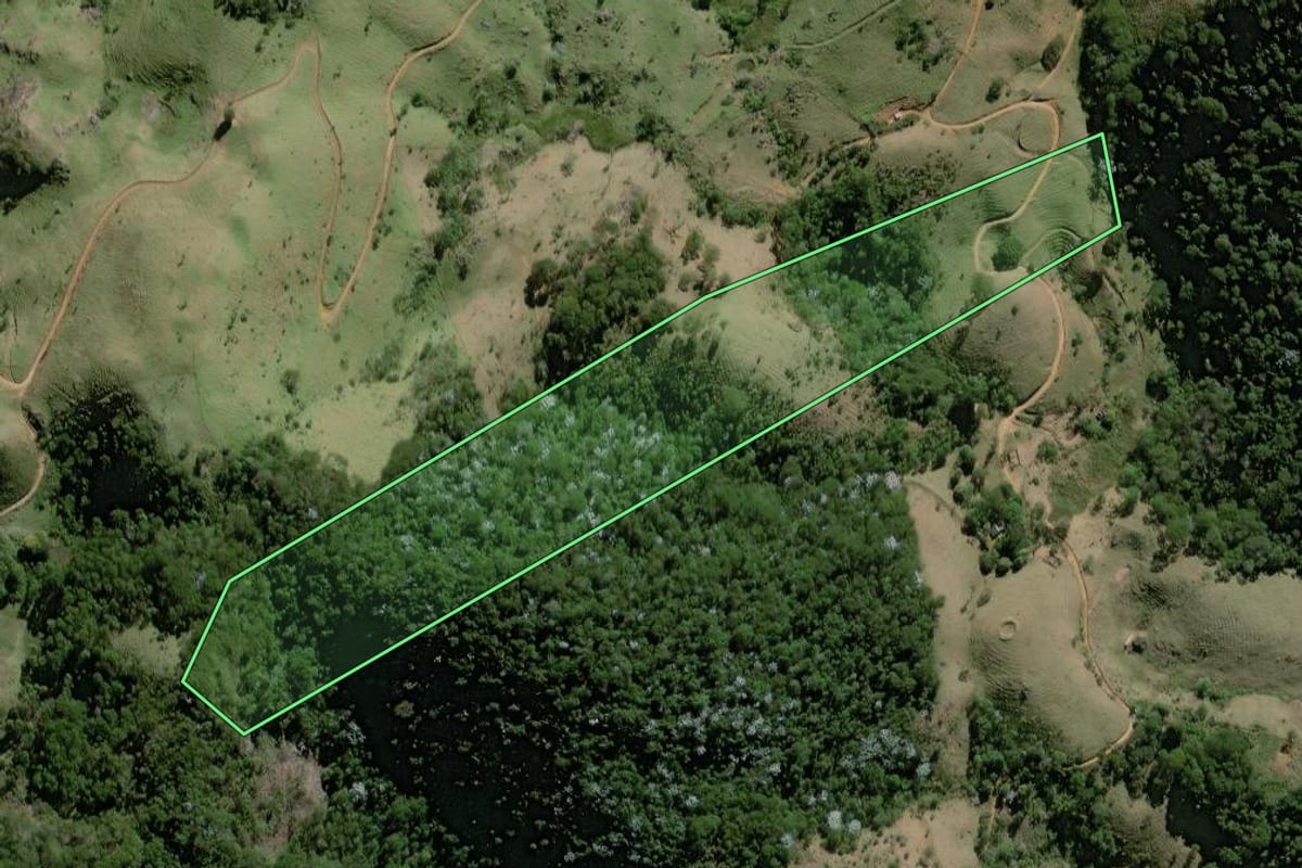 Imagem de satélite do imóvel rural em Bom Jesus do Itabapoana (RJ), com o contorno declarado no CAR desenhado por cima.