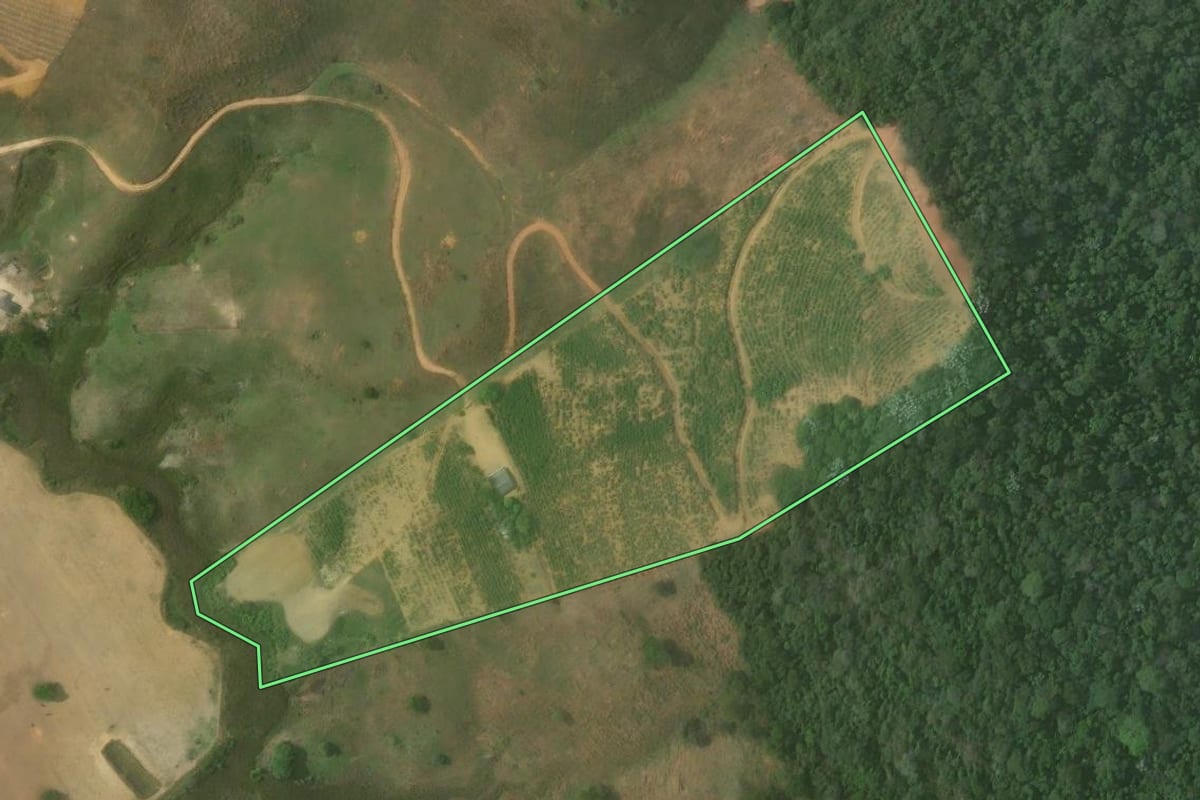 Imagem de satélite do imóvel rural em Bom Jesus do Itabapoana (RJ), com o contorno declarado no CAR desenhado por cima.