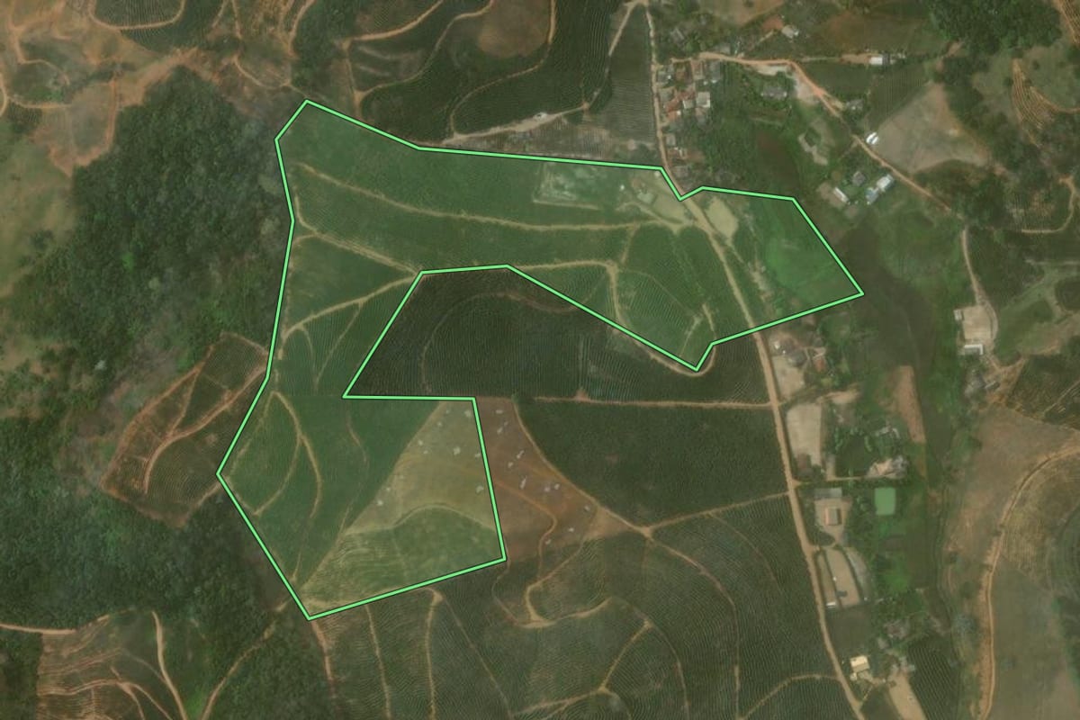 Imagem de satélite do imóvel rural em Bom Jesus do Itabapoana (RJ), com o contorno declarado no CAR desenhado por cima.