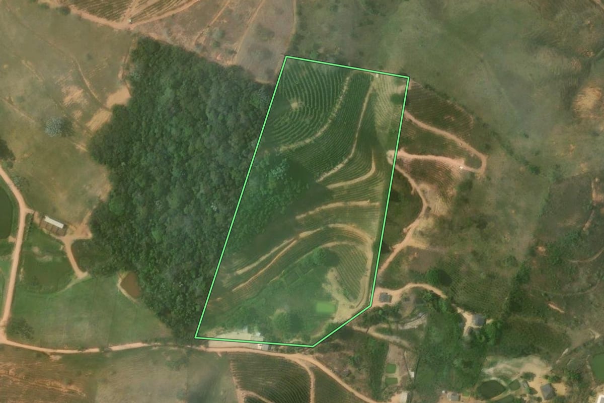 Imagem de satélite do imóvel rural em Bom Jesus do Itabapoana (RJ), com o contorno declarado no CAR desenhado por cima.