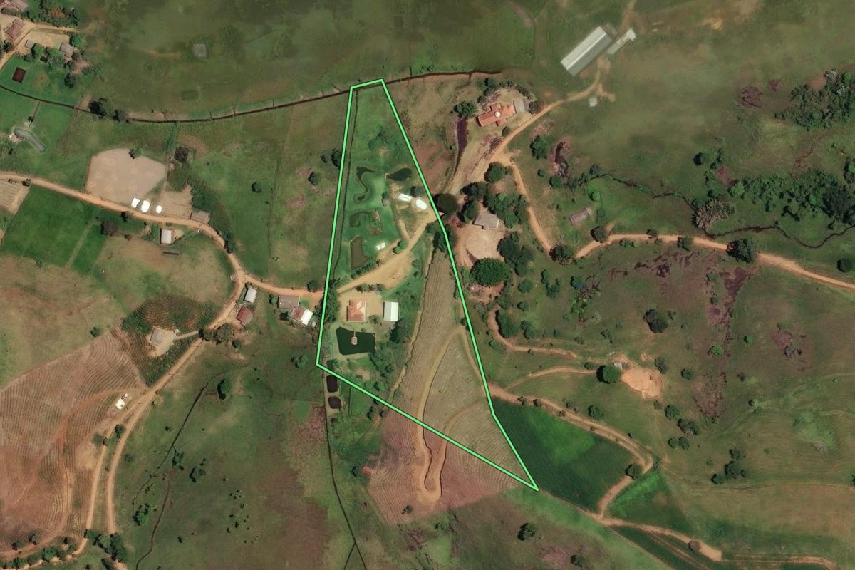 Imagem de satélite do imóvel rural em Bom Jesus do Itabapoana (RJ), com o contorno declarado no CAR desenhado por cima.