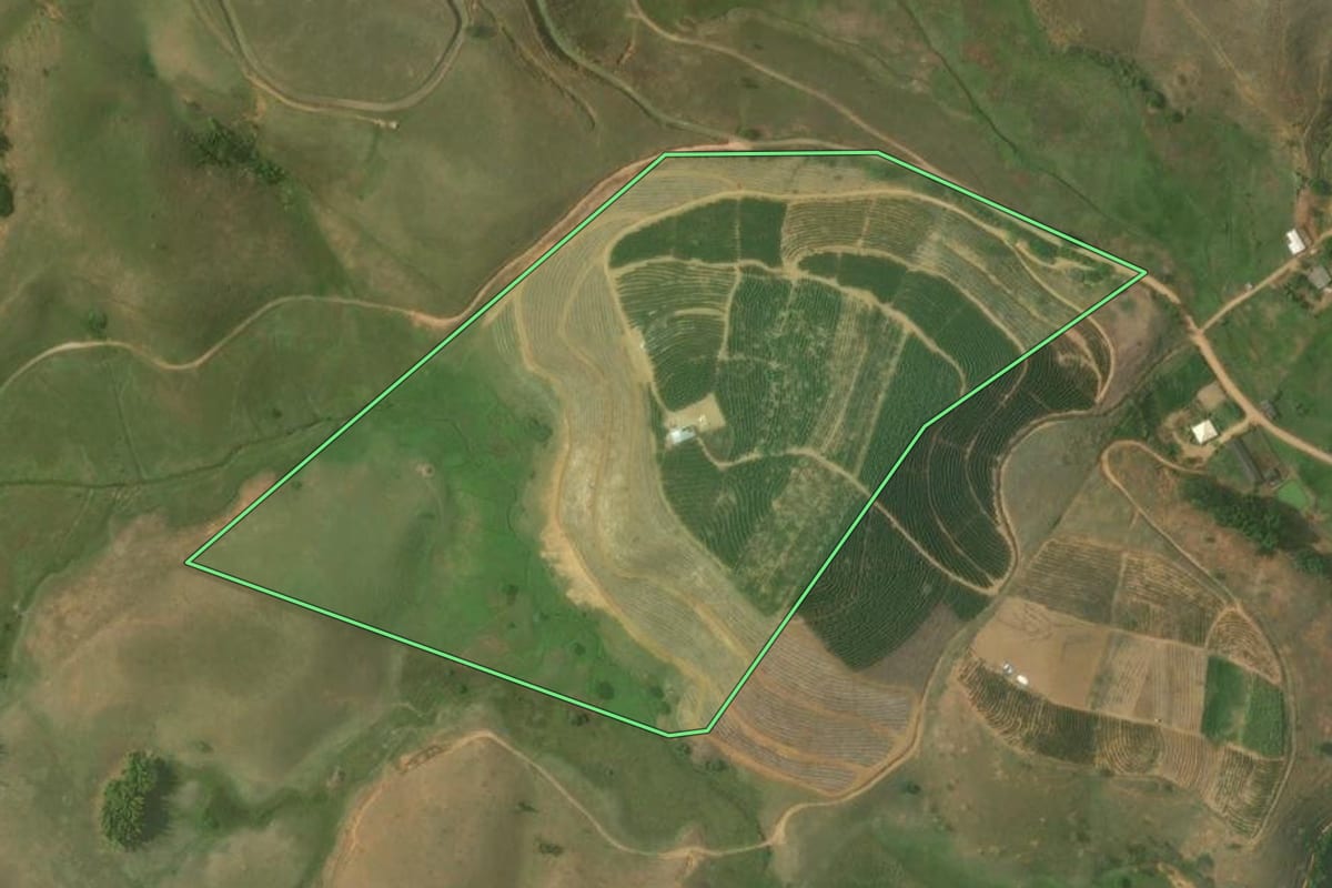 Imagem de satélite do imóvel rural em Bom Jesus do Itabapoana (RJ), com o contorno declarado no CAR desenhado por cima.