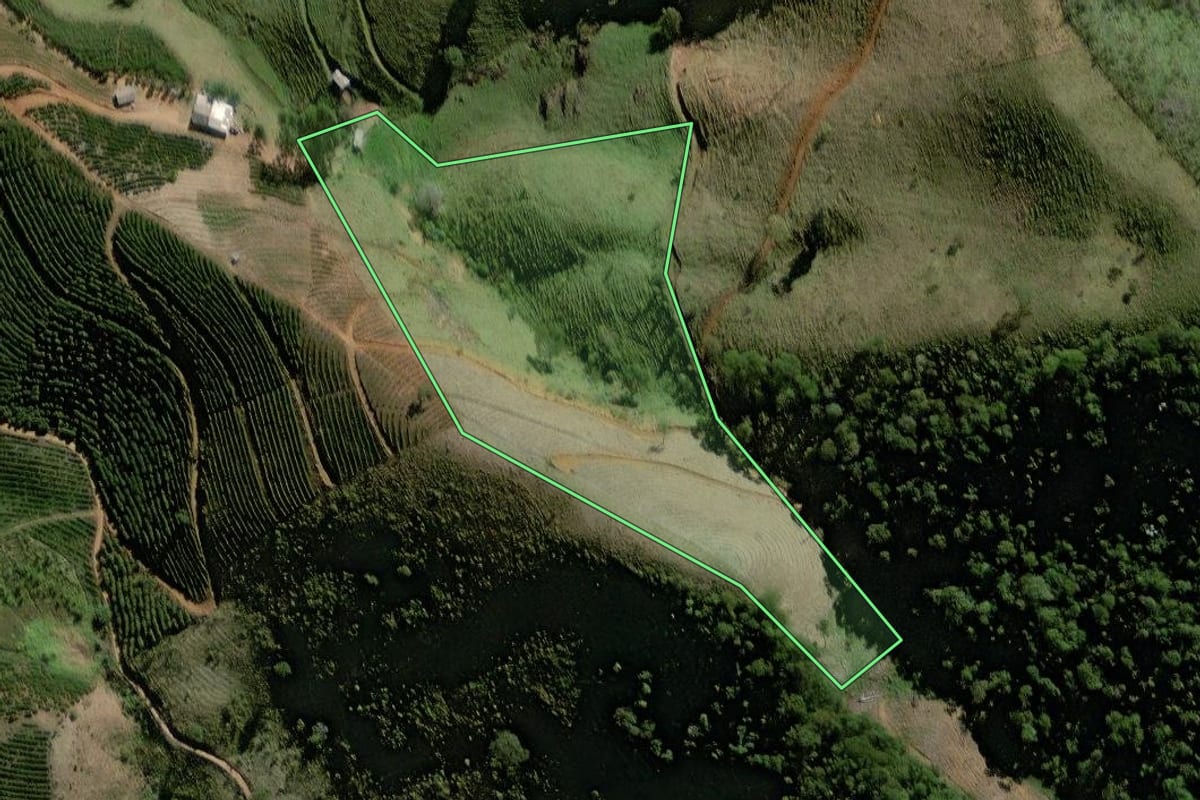 Imagem de satélite do imóvel rural em Bom Jesus do Itabapoana (RJ), com o contorno declarado no CAR desenhado por cima.