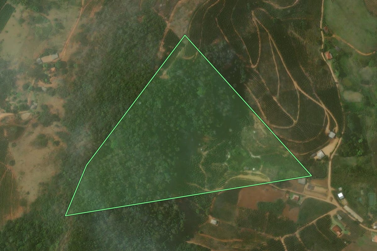 Imagem de satélite do imóvel rural em Bom Jesus do Itabapoana (RJ), com o contorno declarado no CAR desenhado por cima.