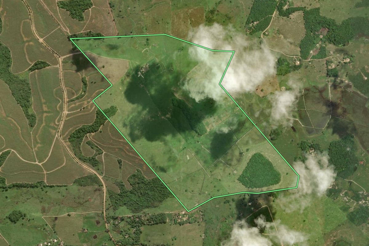 Imagem de satélite do imóvel rural em Cabo Frio (RJ), com o contorno declarado no CAR desenhado por cima.