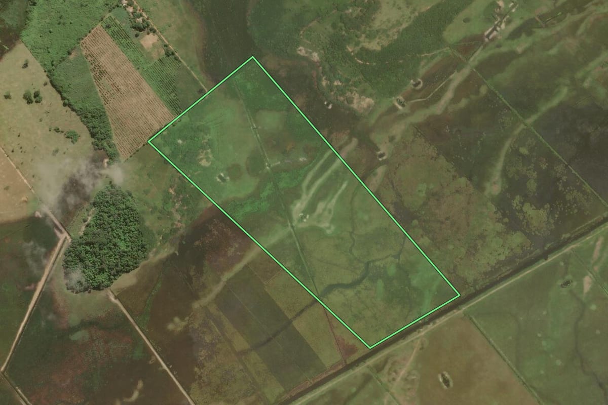 Imagem de satélite do imóvel rural em Cabo Frio (RJ), com o contorno declarado no CAR desenhado por cima.