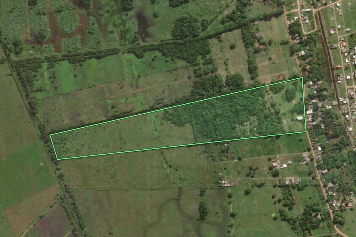 Imagem de satélite do imóvel rural em Cabo Frio (RJ), com o contorno declarado no CAR desenhado por cima.
