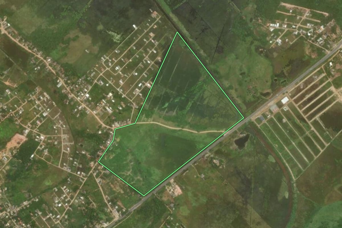 Imagem de satélite do imóvel rural em Cabo Frio (RJ), com o contorno declarado no CAR desenhado por cima.