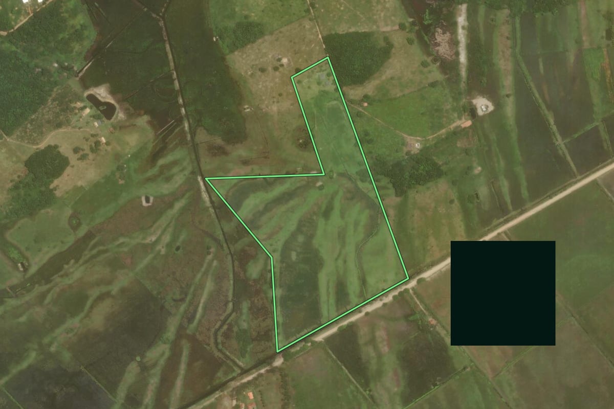 Imagem de satélite do imóvel rural em Cabo Frio (RJ), com o contorno declarado no CAR desenhado por cima.