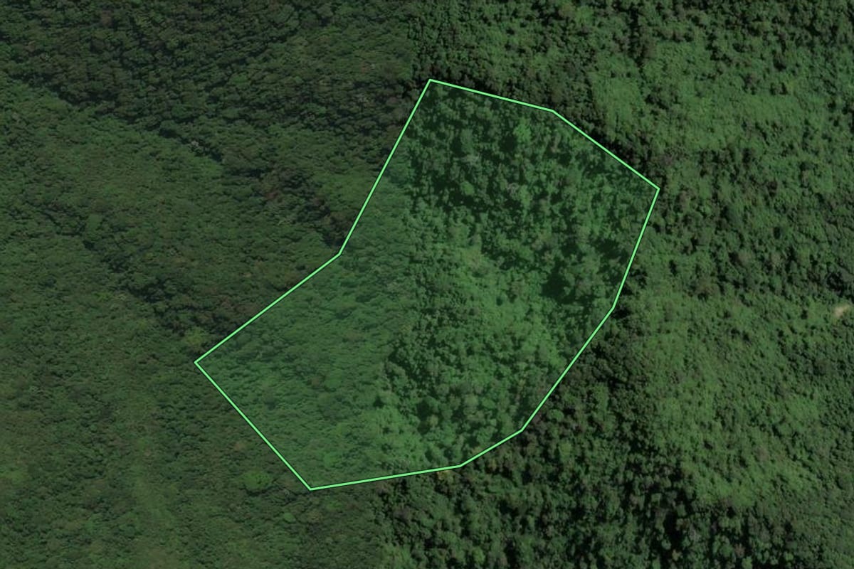 Imagem de satélite do imóvel rural em Cachoeiras de Macacu (RJ), com o contorno declarado no CAR desenhado por cima.