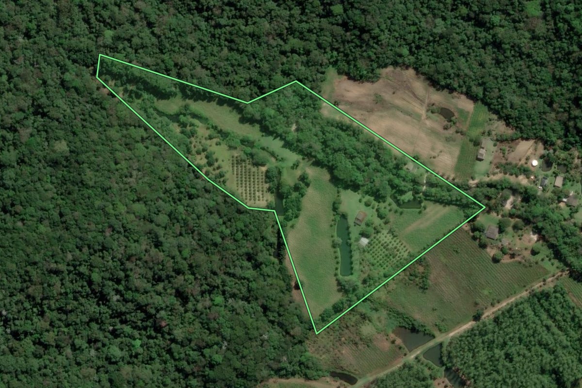 Imagem de satélite do imóvel rural em Cachoeiras de Macacu (RJ), com o contorno declarado no CAR desenhado por cima.