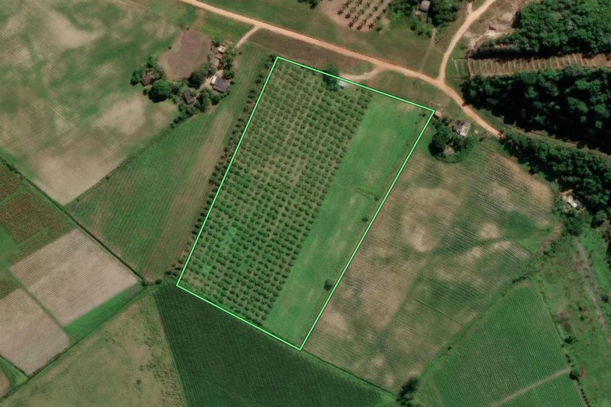 Imagem de satélite do imóvel rural em Cachoeiras de Macacu (RJ), com o contorno declarado no CAR desenhado por cima.