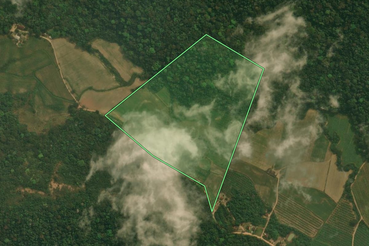 Imagem de satélite do imóvel rural em Cachoeiras de Macacu (RJ), com o contorno declarado no CAR desenhado por cima.