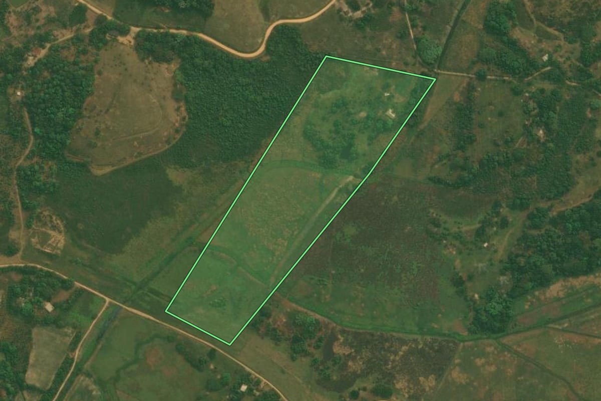 Imagem de satélite do imóvel rural em Cachoeiras de Macacu (RJ), com o contorno declarado no CAR desenhado por cima.