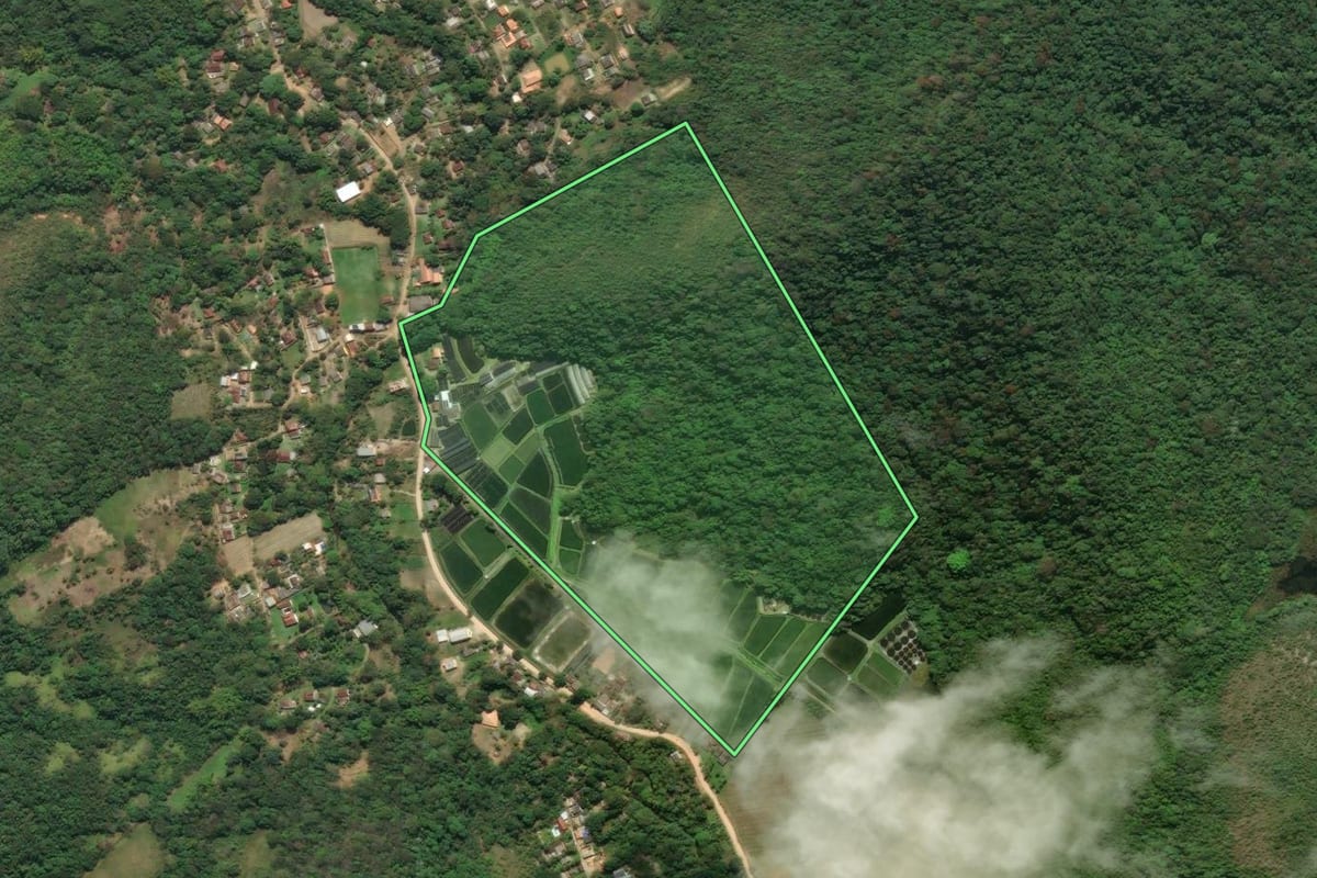 Imagem de satélite do imóvel rural em Cachoeiras de Macacu (RJ), com o contorno declarado no CAR desenhado por cima.
