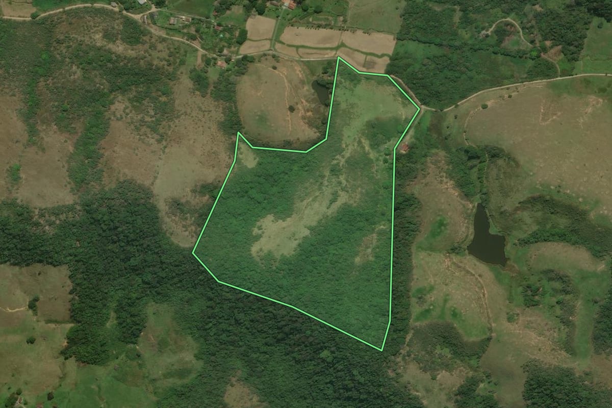 Imagem de satélite do imóvel rural em Cachoeiras de Macacu (RJ), com o contorno declarado no CAR desenhado por cima.