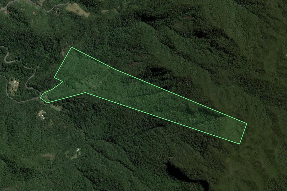 Imagem de satélite do imóvel rural em Cachoeiras de Macacu (RJ), com o contorno declarado no CAR desenhado por cima.
